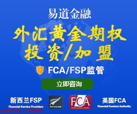 輕資產(chǎn)創(chuàng)業(yè)新風尚 小額投資代理代辦業(yè)務如何落地