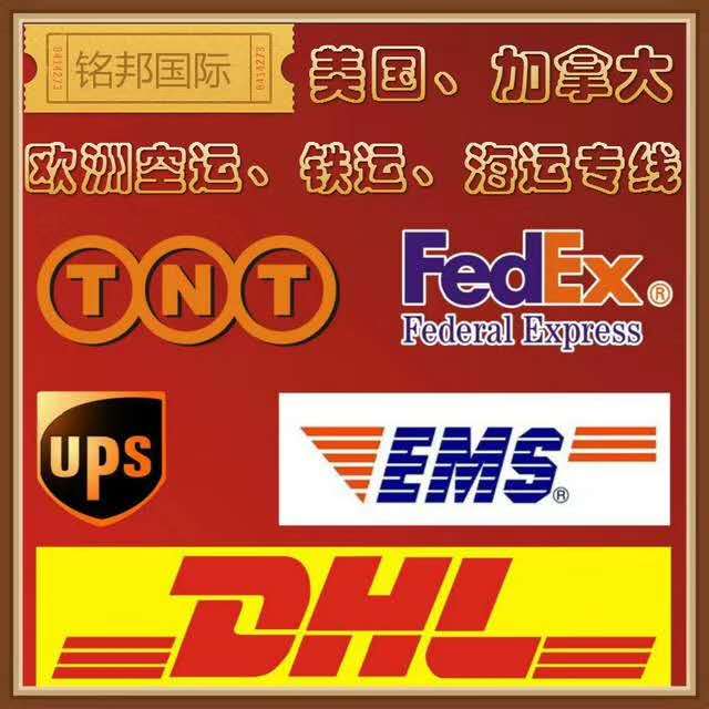 深圳國際貨運代理行業(yè)深度解析 企業(yè)名錄與軟件服務賦能物流升級
